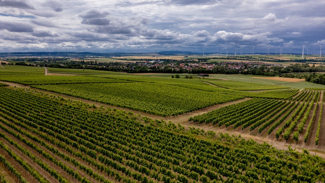 Gau-Weinheimer Geyersberg Gau-Weinheimer Geyersberg