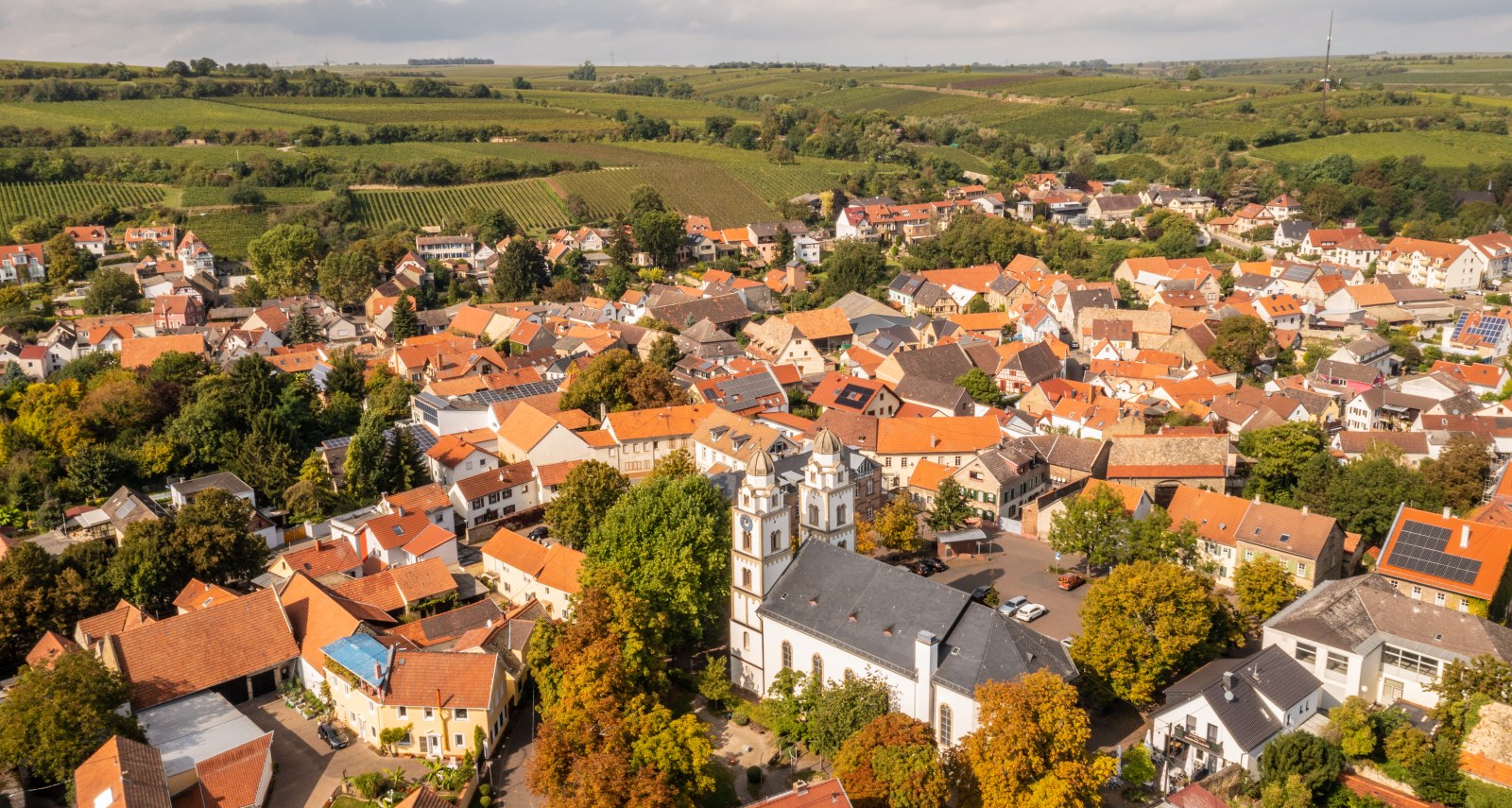 Luftaufnahme von Guntersblum mit roten Dächern, grünen Weinbergen im Hintergrund und der Heidenturmkirche im Zentrum., © Dominik Ketz, Rheinhessen-Touristik GmbH Luftaufnahme vom Weinort Guntersblum mit Weinbergen im Hintergrund und einer Kirche im Mittelpunkt