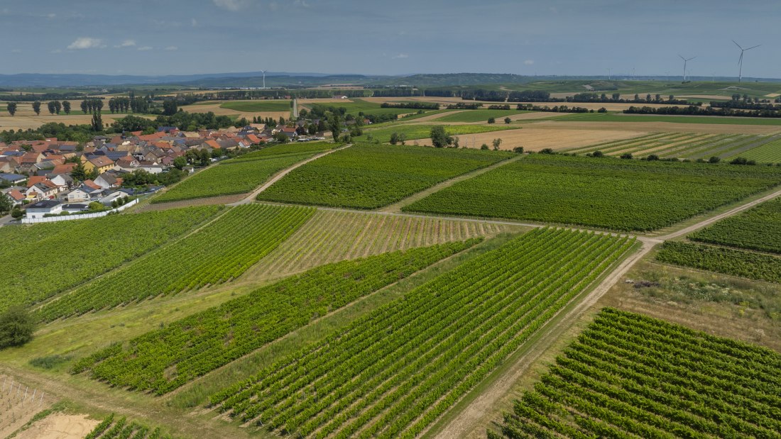 Eckelsheimer Eseltreiber, © Torsten Silz Eckelsheimer Eseltreiber, © Torsten Silz