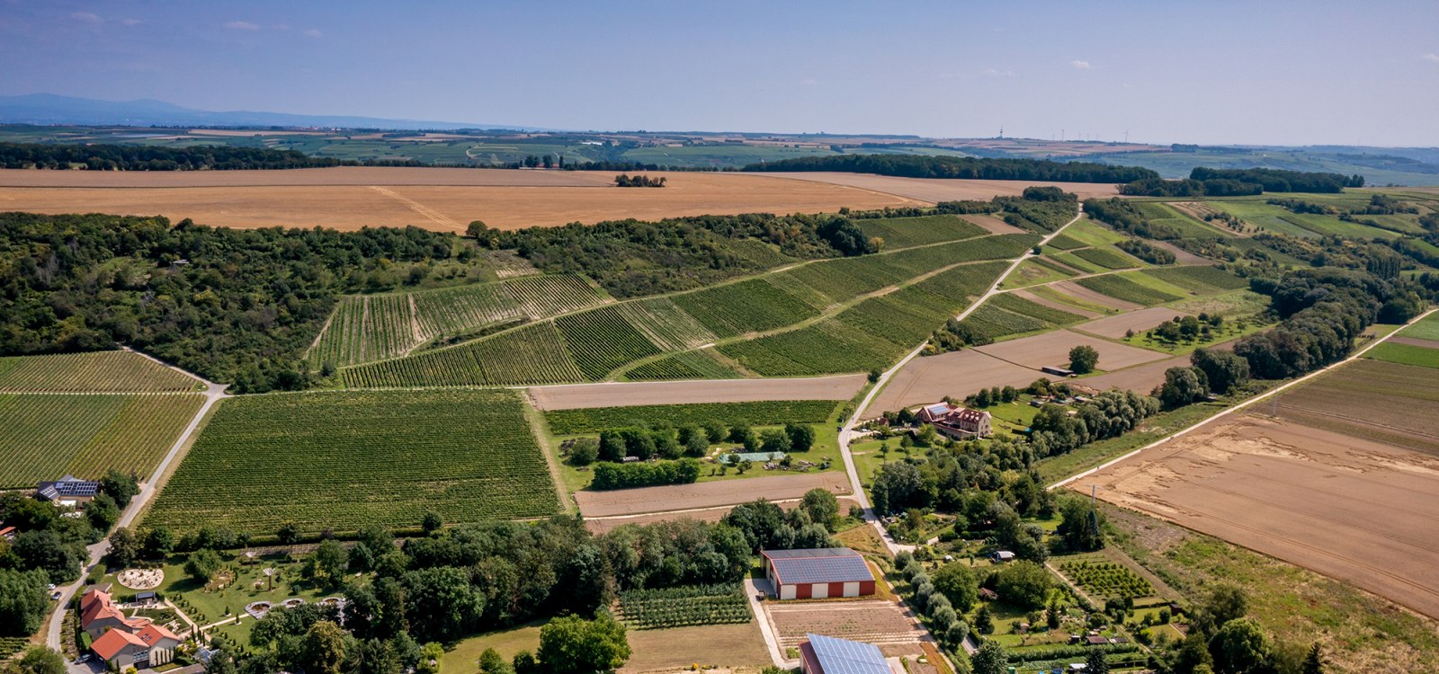 Appenheimer Hundertgulden Appenheimer Hundertgulden