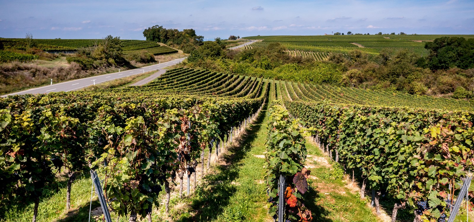 Heßlocher Liebfrauenberg Heßlocher Liebfrauenberg