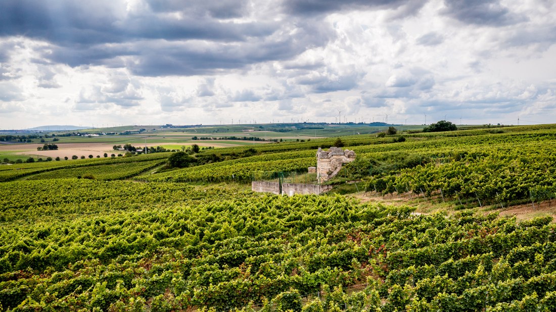 Bechtheimer Rosengarten Bechtheimer Rosengarten