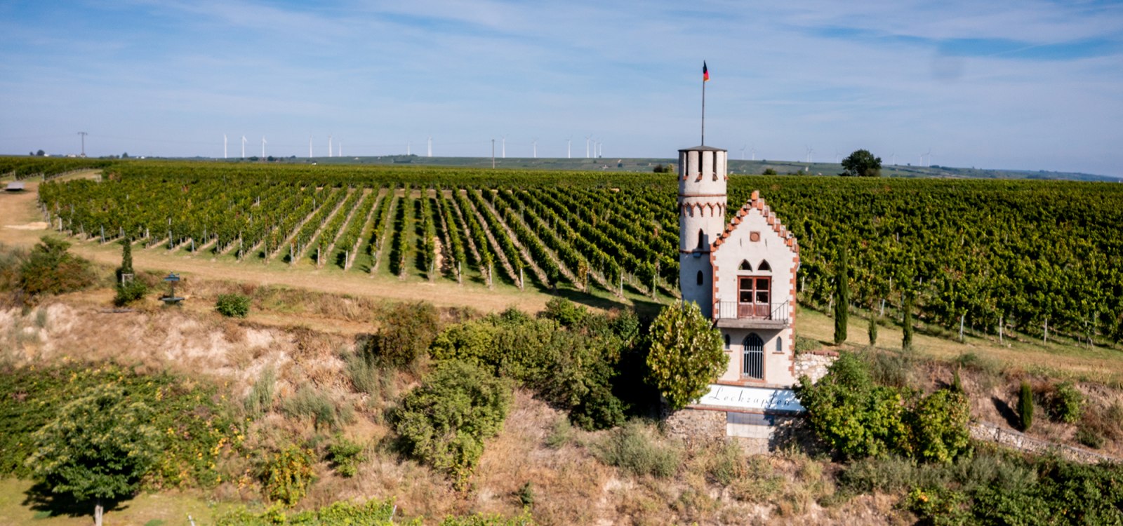 Osthofener Leckzapfen Osthofener Leckzapfen