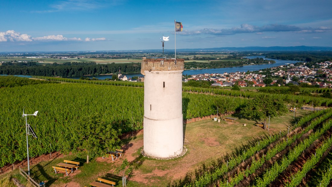 Niersteiner Ölberg Niersteiner Ölberg