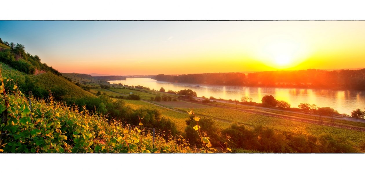 Weingut Heise am Kranzberg_Rhein, © Weingut Heise am Kranzberg Weingut Heise am Kranzberg_Rhein, © Weingut Heise am Kranzberg