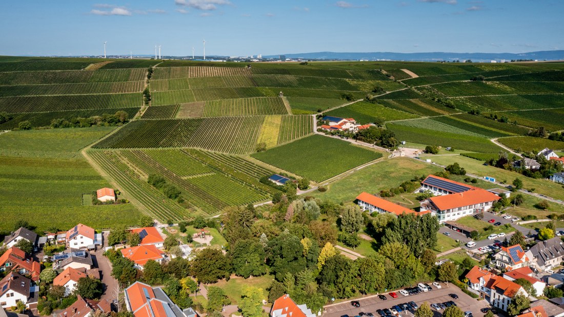 Bodenheimer Burgweg Bodenheimer Burgweg
