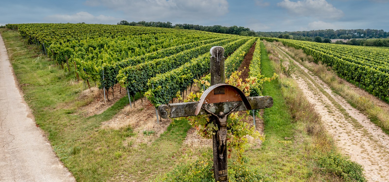 Hackenheimer Kirchberg Hackenheimer Kirchberg