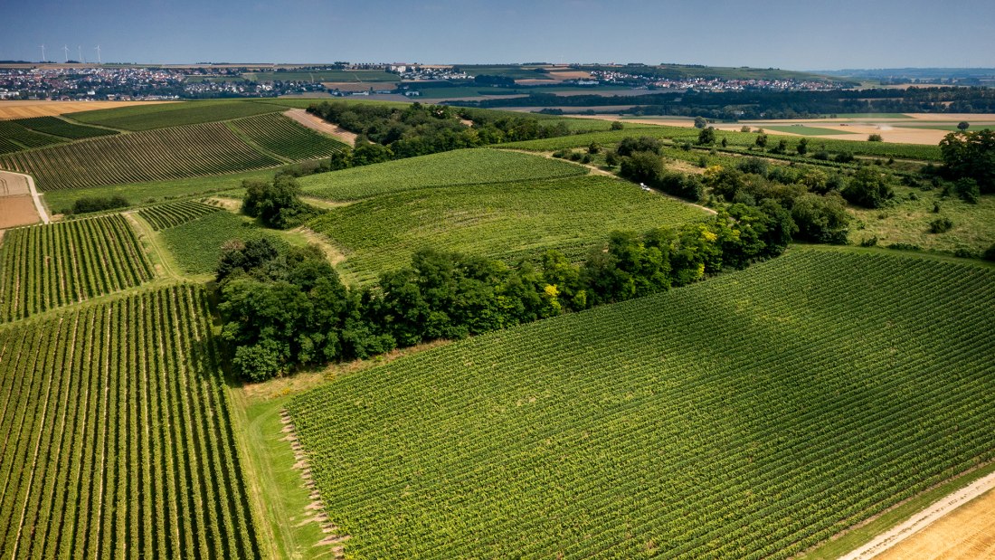 Stadecker Lenchen Stadecker Lenchen