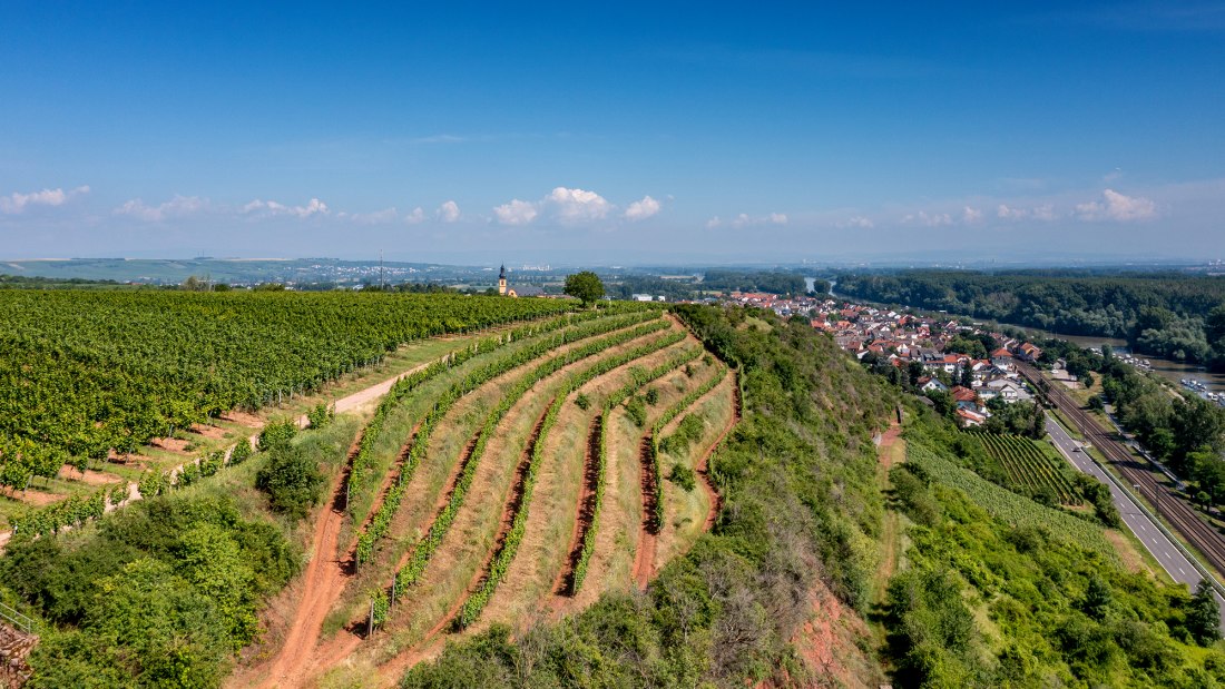 Nackenheimer Rothenberg Nackenheimer Rothenberg