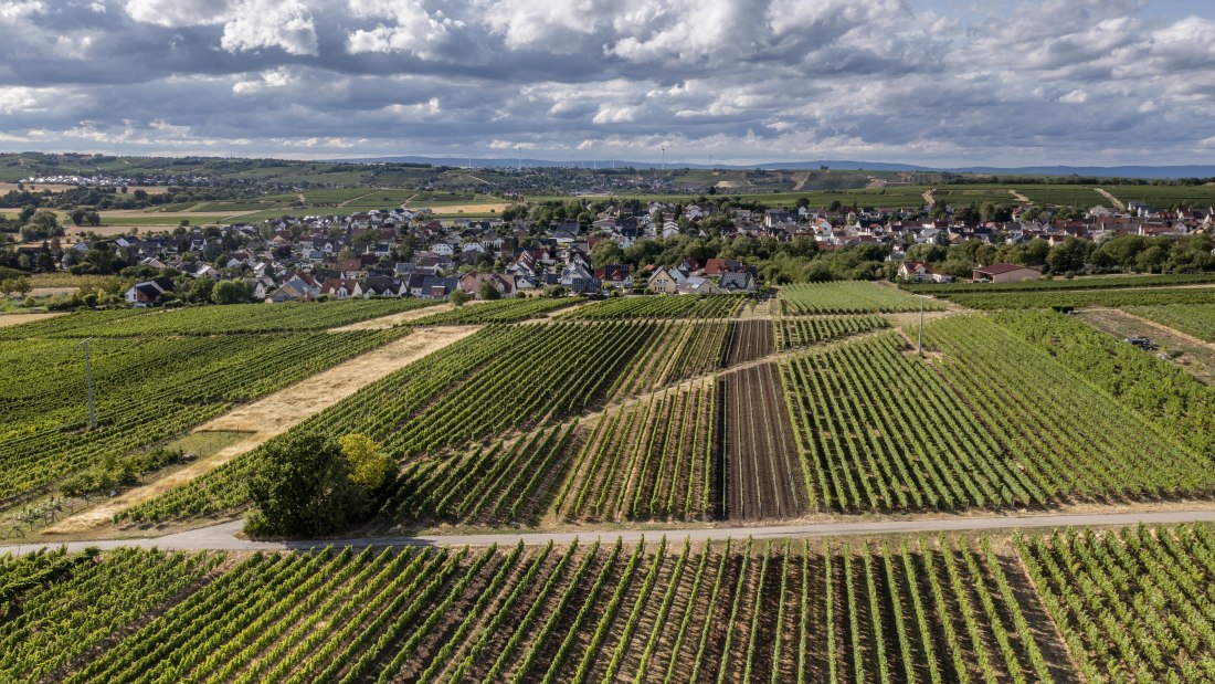 Lörzweiler Königstuhl Lörzweiler Königstuhl
