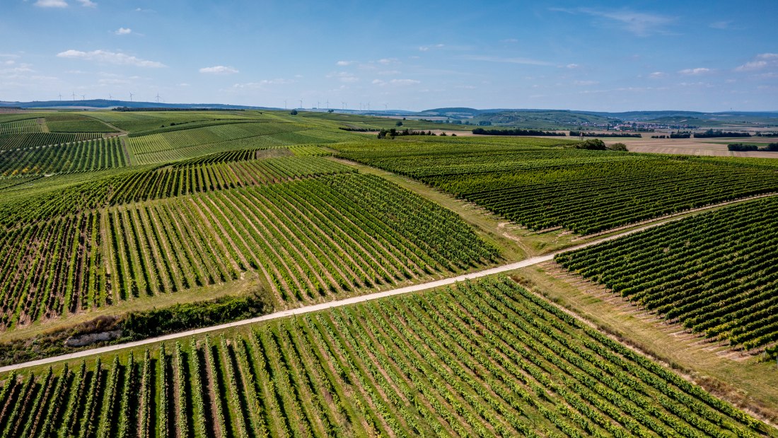 Flonheimer Binger Berg Flonheimer Binger Berg