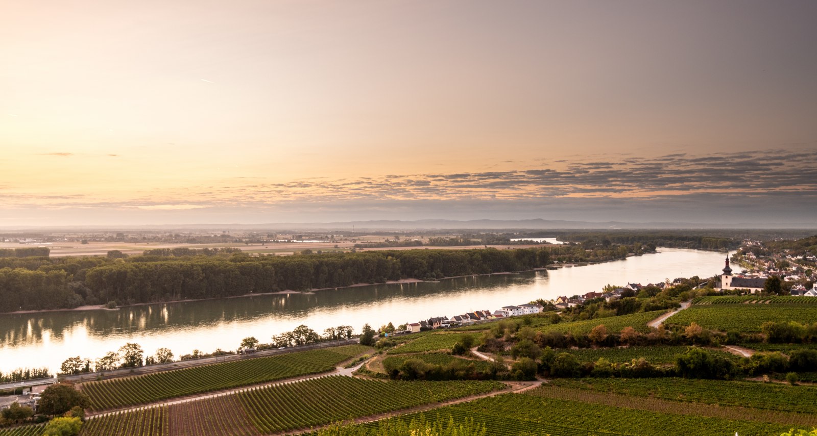 Roter Hang, Abendsonne über Nierstein, © Rheinhessen-Touristik GmbH, Dominik Ketz Roter Hang, Abendsonne über Nierstein, © Rheinhessen-Touristik GmbH, Dominik Ketz