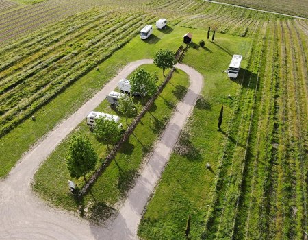 Reisemobilstellplatz Weingut Gehring, © Weingut Gehring Reisemobilstellplatz Weingut Gehring, © Weingut Gehring