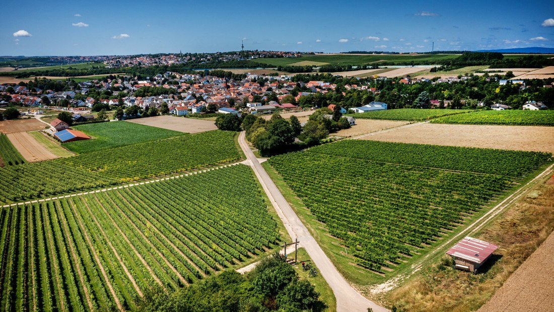 Klein-Winternheimer Geiershölle Klein-Winternheimer Geiershölle