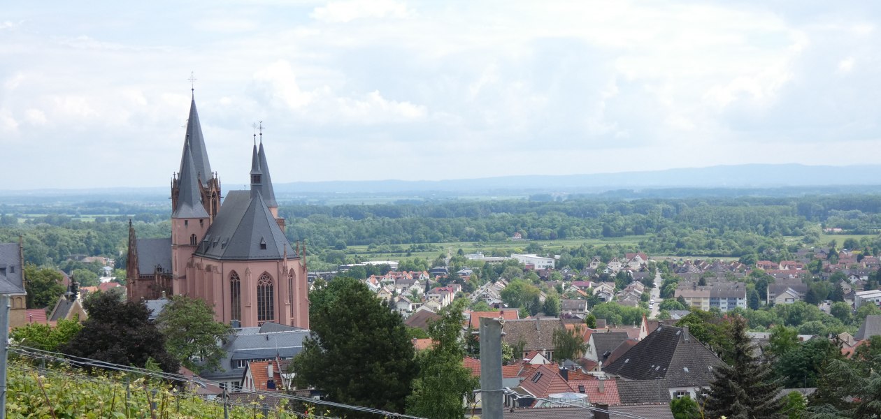 Oppenheim vom RheinTerrassenWeg, © TSC Rhein-Selz Oppenheim vom RheinTerrassenWeg, © TSC Rhein-Selz