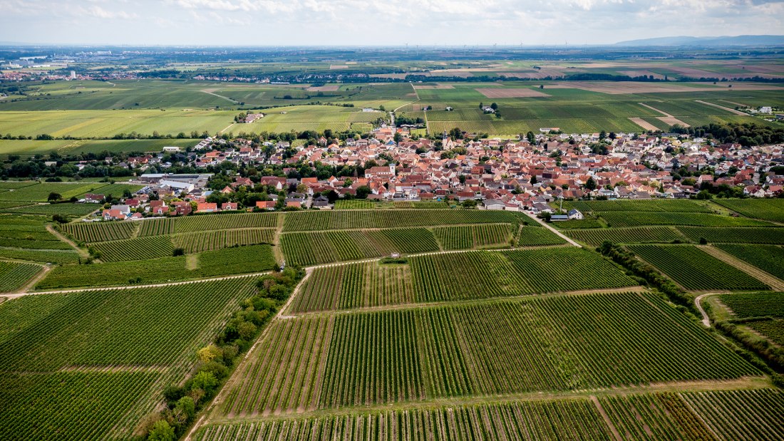 Bechtheimer Rosengarten Bechtheimer Rosengarten
