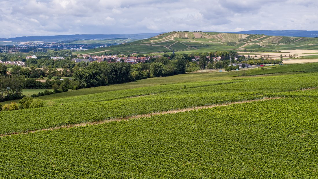 Badenheimer Galgenberg Badenheimer Galgenberg
