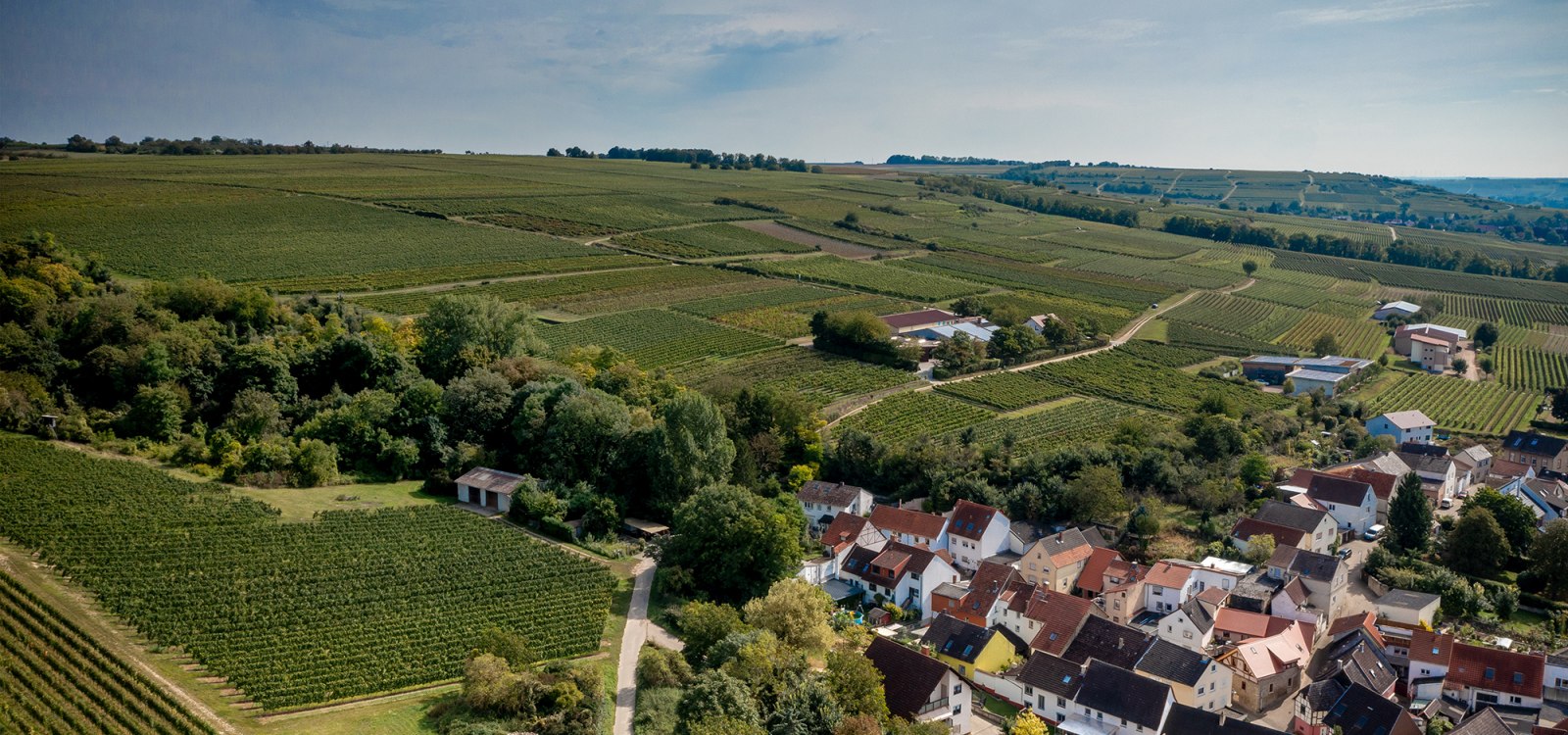 Groß-Winternheimer Bockstein Groß-Winternheimer Bockstein