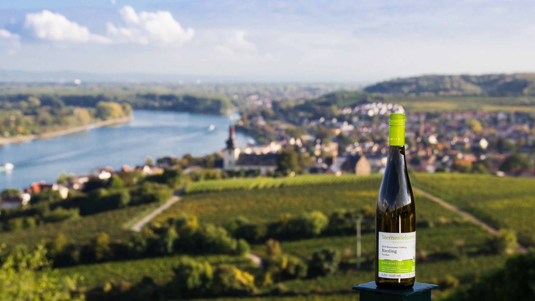 Weingut Sternenfelserhof_Blick-auf-den-roten-hang, © Weingut Sternenfelserhof Weingut Sternenfelserhof_Blick-auf-den-roten-hang, © Weingut Sternenfelserhof