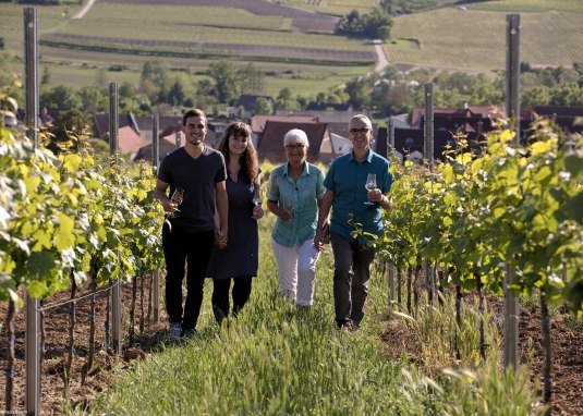 Weingut Baum © Weingut Baum Weingut Baum © Weingut Baum