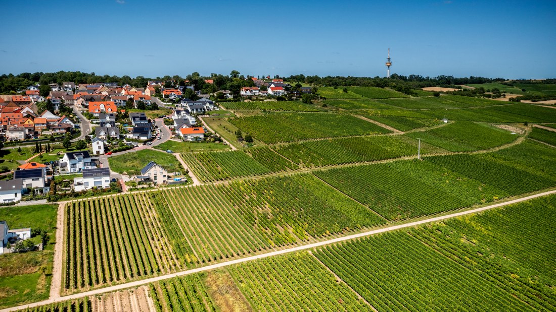 Essenheimer Teufelspfad Essenheimer Teufelspfad