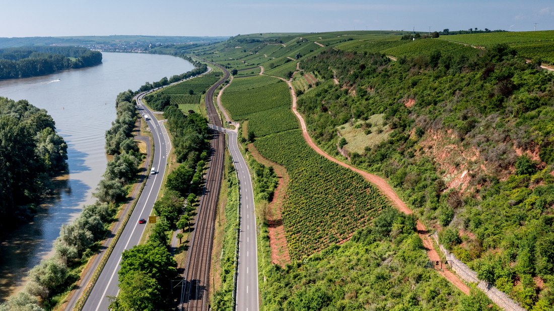 Nackenheimer Rothenberg Nackenheimer Rothenberg