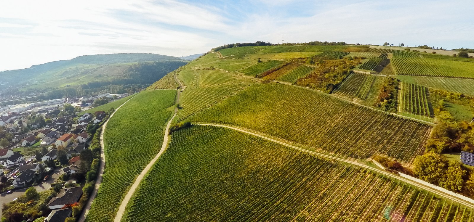 Luftaufnahme_Scharlachberg, © Nils Weiler Luftaufnahme_Scharlachberg, © Nils Weiler