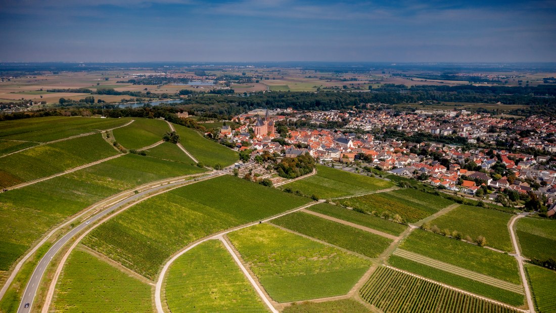 Oppenheimer Sackträger Oppenheimer Sackträger