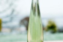 Gut Erbes_Sauvignon_blanc, © Gut Erbes Gut Erbes_Sauvignon_blanc, © Gut Erbes