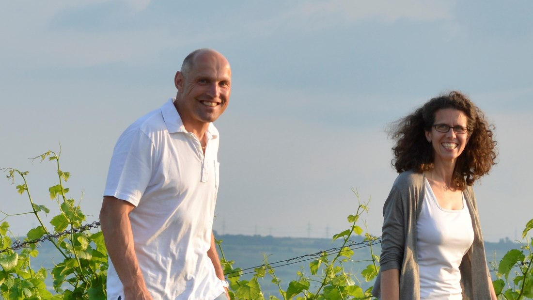 Weingut Dätwyl_Weinberg, © Weingut Dätwyl Weingut Dätwyl_Weinberg, © Weingut Dätwyl