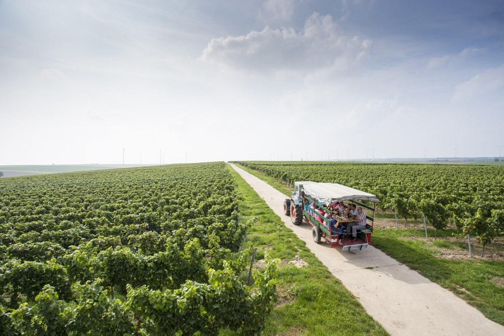 Weingut Helmut Best_Funzelfahrt, © Weingut Helmut Best Weingut Helmut Best_Funzelfahrt, © Weingut Helmut Best