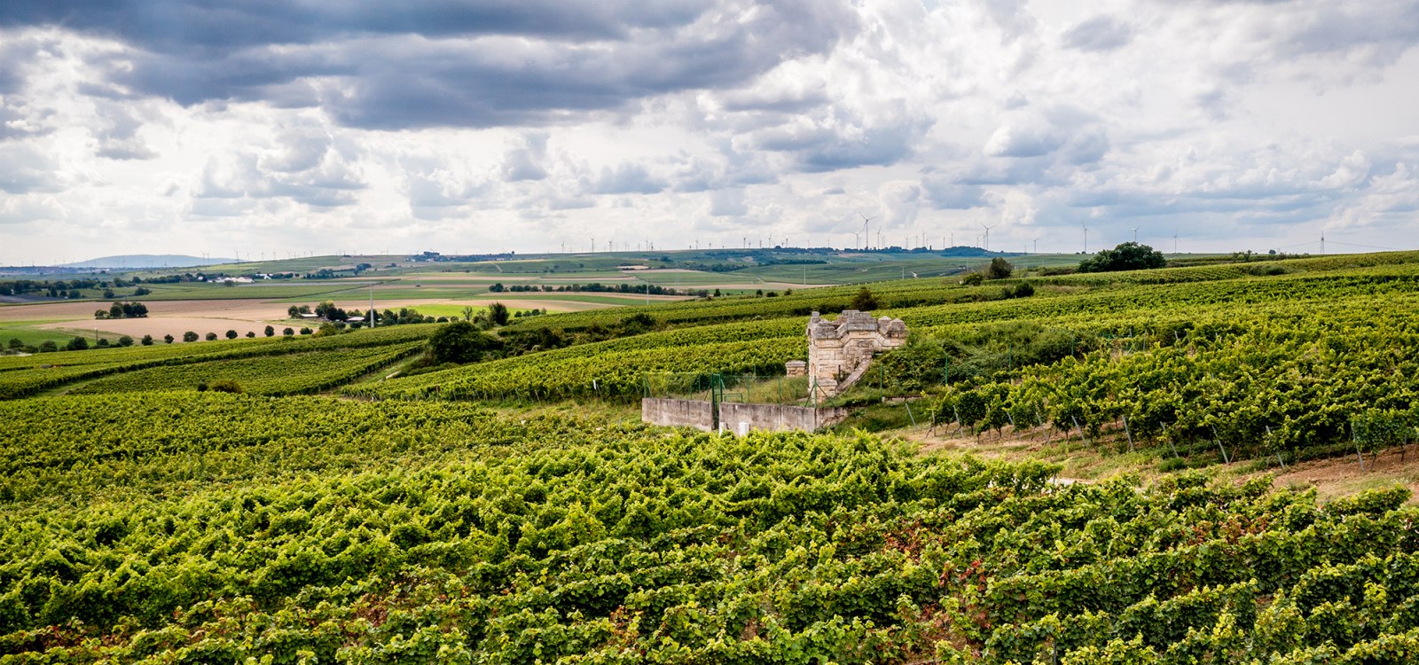 Bechtheimer Rosengarten Bechtheimer Rosengarten