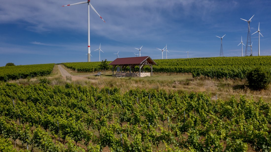 Gau-Heppenheimer Schlossberg Gau-Heppenheimer Schlossberg