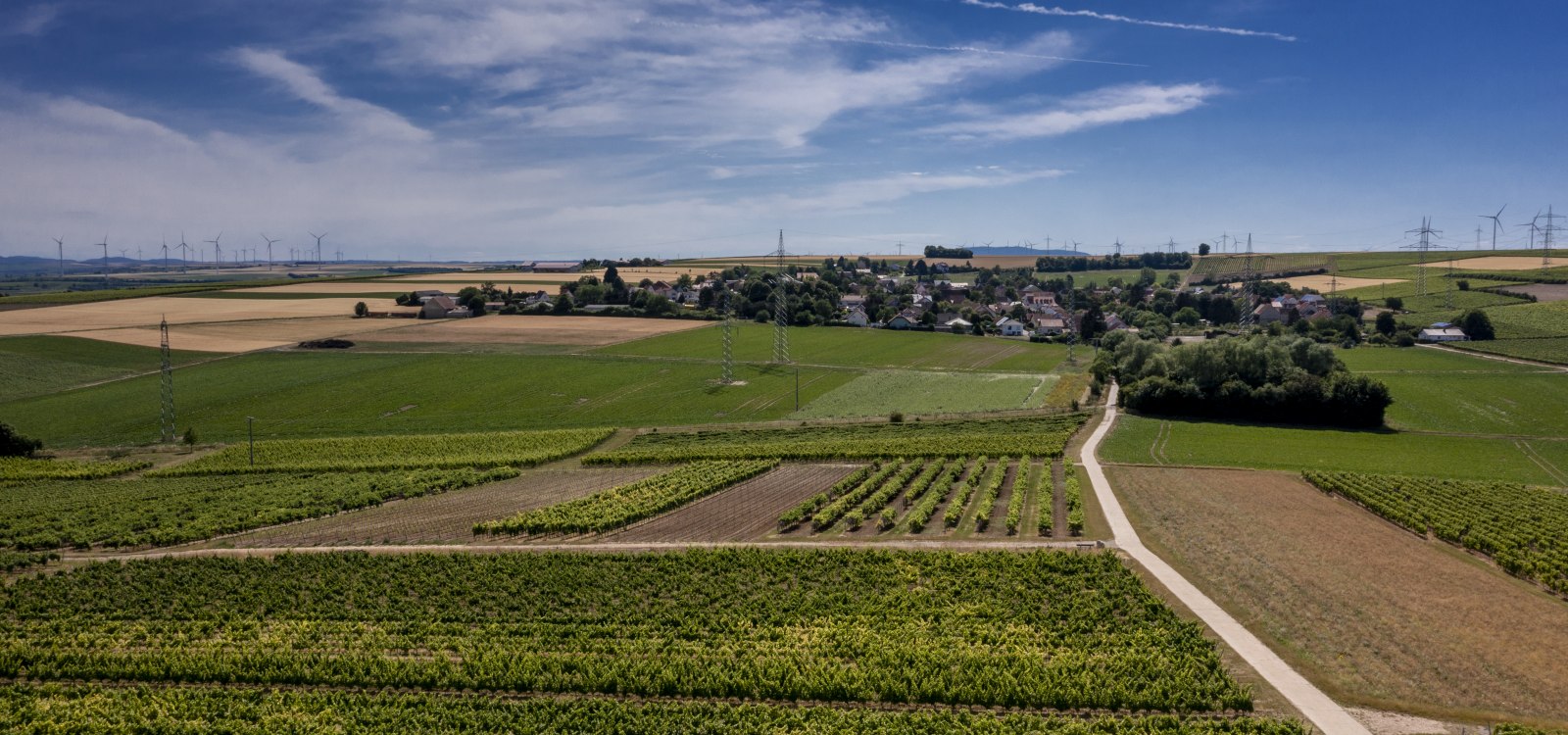 Monzernheimer Goldberg Monzernheimer Goldberg