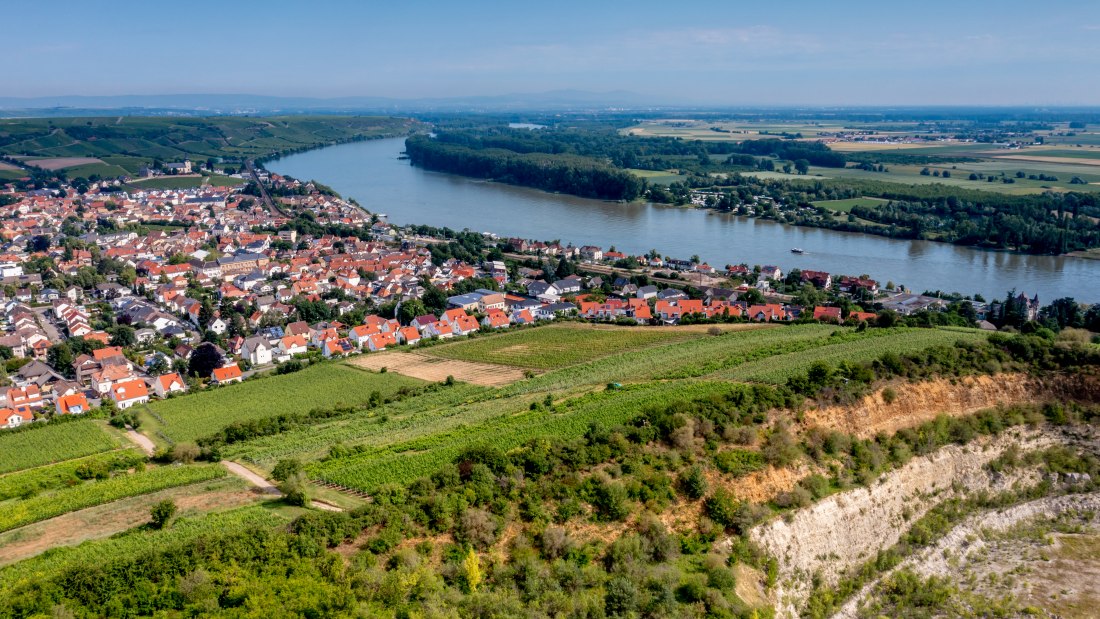 Niersteiner Parterberg-DJI_0229-171, © Torsten Silz Niersteiner Parterberg-DJI_0229-171, © Torsten Silz