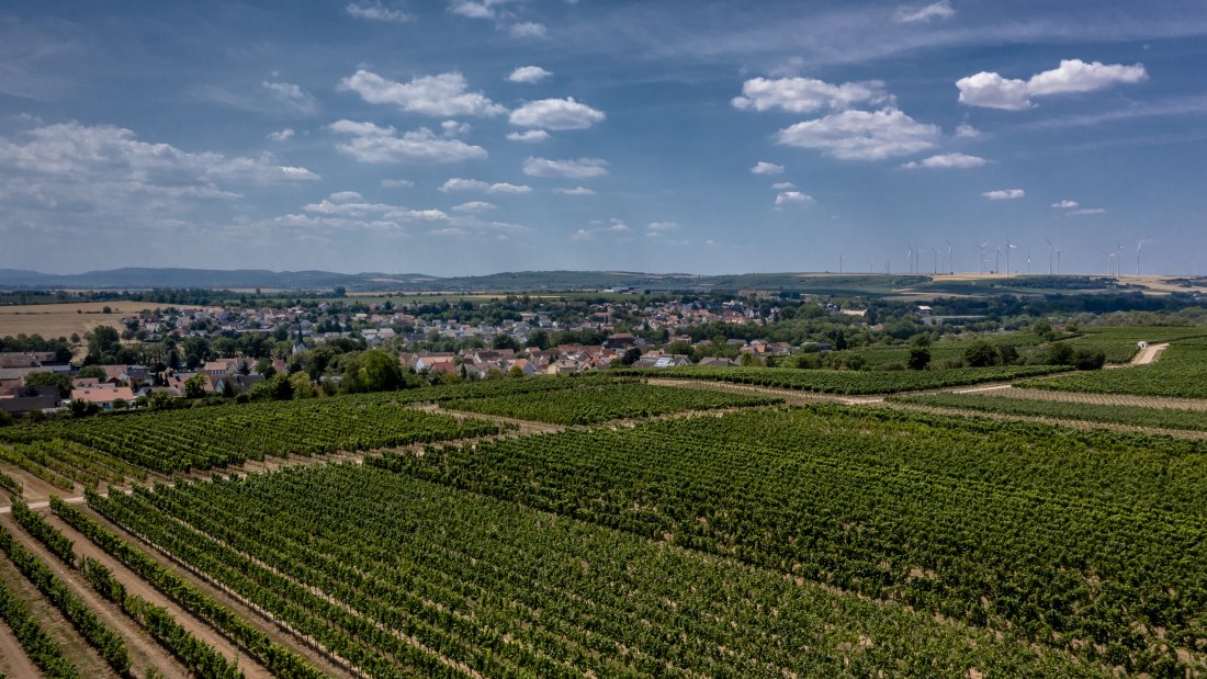 Monsheimer Rosengarten Monsheimer Rosengarten