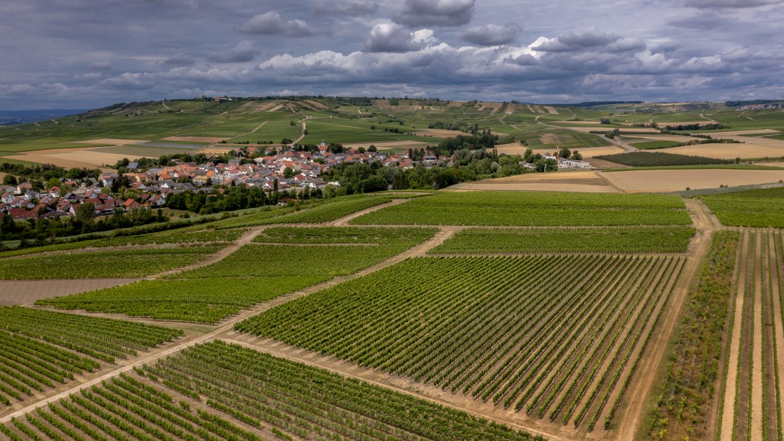 Gau-Weinheimer Geyersberg Gau-Weinheimer Geyersberg