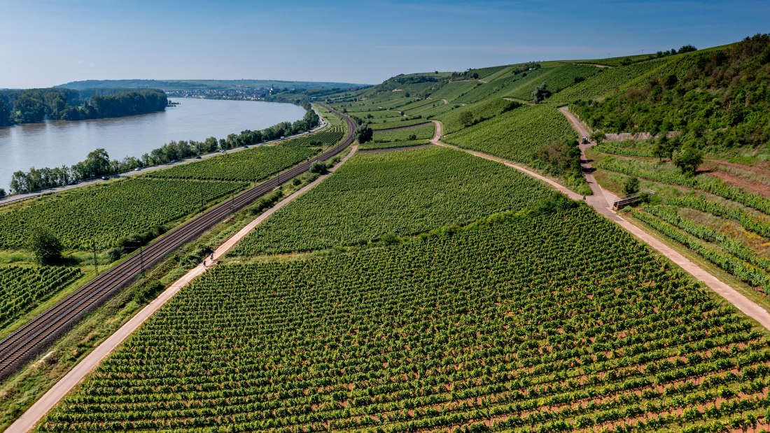 Nackenheimer Rothenberg Nackenheimer Rothenberg