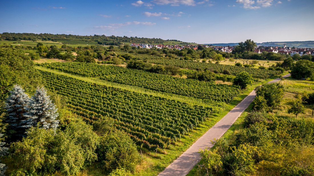 Ingelheimer Rotes Kreuz Ingelheimer Rotes Kreuz