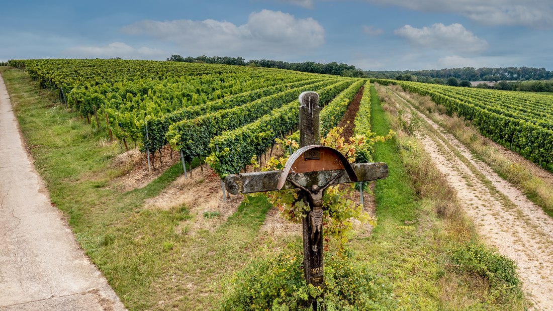 Hackenheimer Kirchberg Hackenheimer Kirchberg