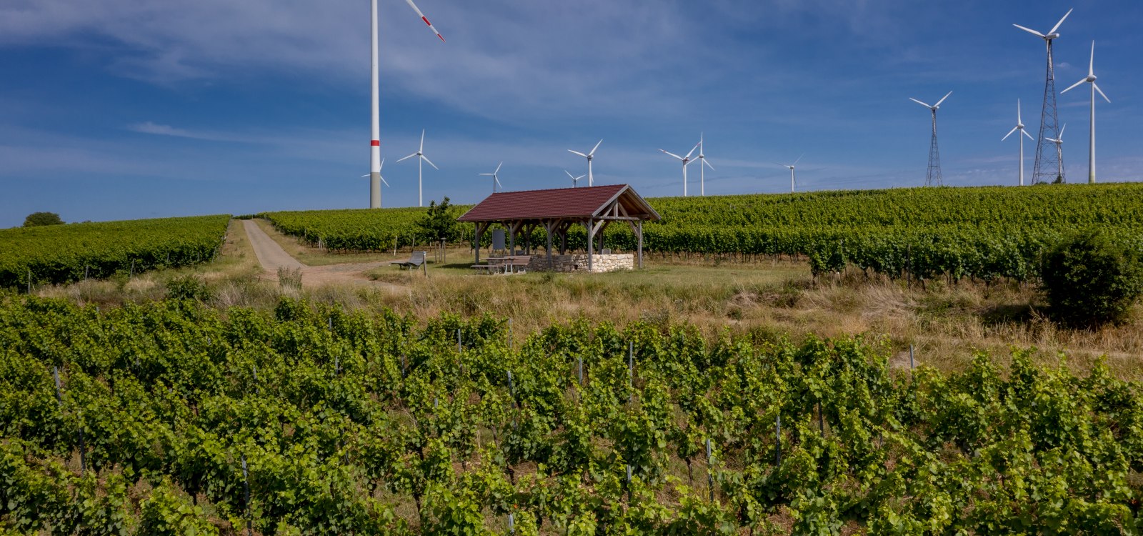 Gau-Heppenheimer Schlossberg Gau-Heppenheimer Schlossberg