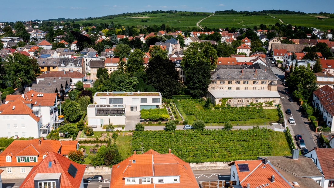 Ingelheimer Sonnenberg-DJI_0032.DNG, © Torsten Silz Ingelheimer Sonnenberg-DJI_0032.DNG, © Torsten Silz