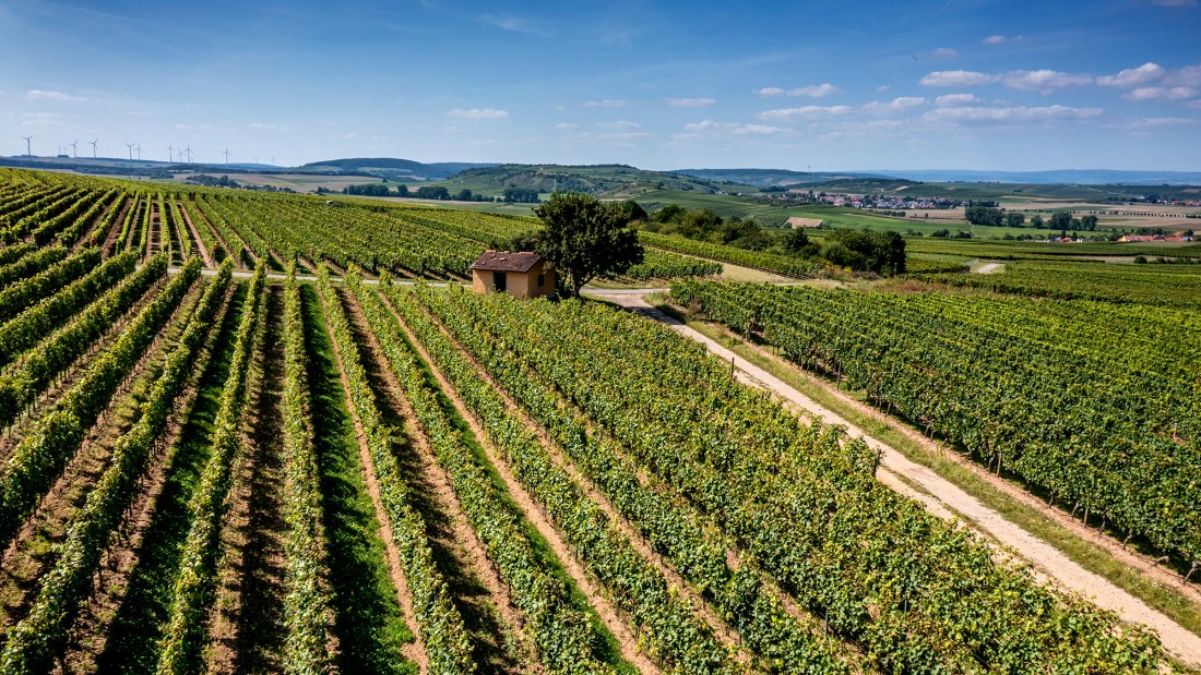 Eckelsheimer Kirchberg Eckelsheimer Kirchberg