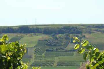 Kloppberg, © Verbandsgemeinde Wonnegau / Michael Thier Kloppberg, © Verbandsgemeinde Wonnegau / Michael Thier