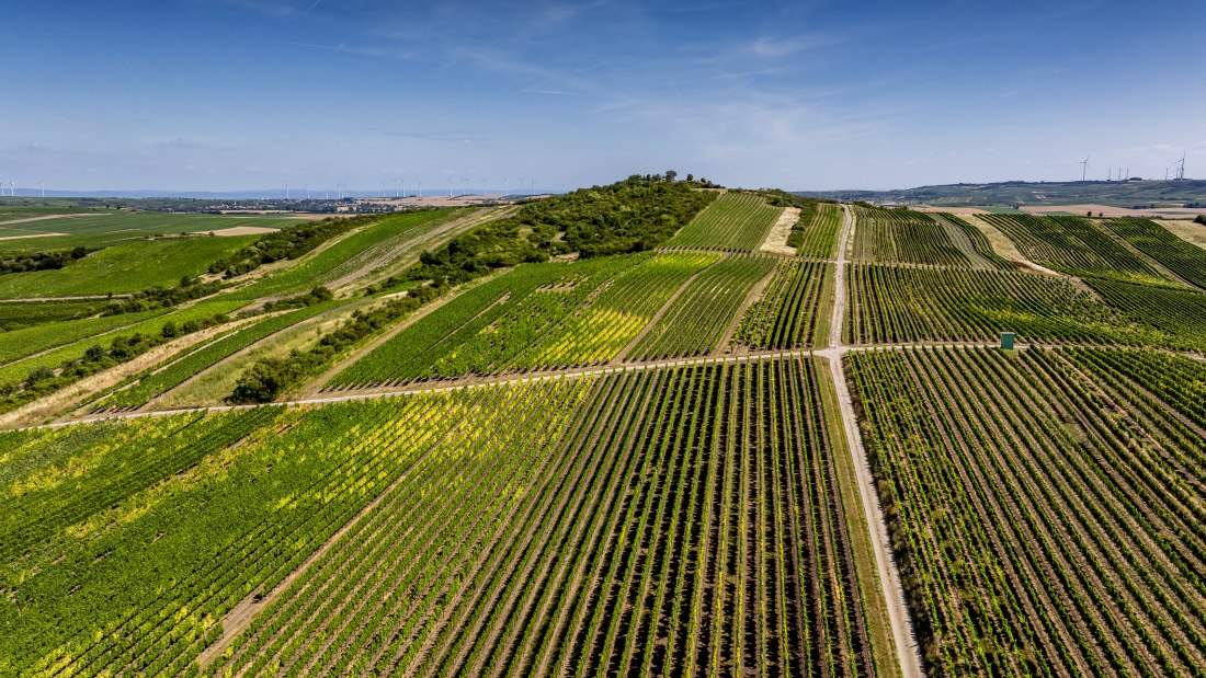 Bechtolsheimer Klosterberg, © Torsten Silz Bechtolsheimer Klosterberg, © Torsten Silz