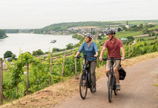 Zwei Personen fahren mit Helmen auf Fahrrädern einen Weg entlang, umgeben von Weinbergen mit Blick auf den Rhein., © Dominik Ketz, Rheinhessen-Touristik GmbH Zwei Personen fahren mit ihren Fahrrädern durch Weinberge mit Blick auf einen Fluss