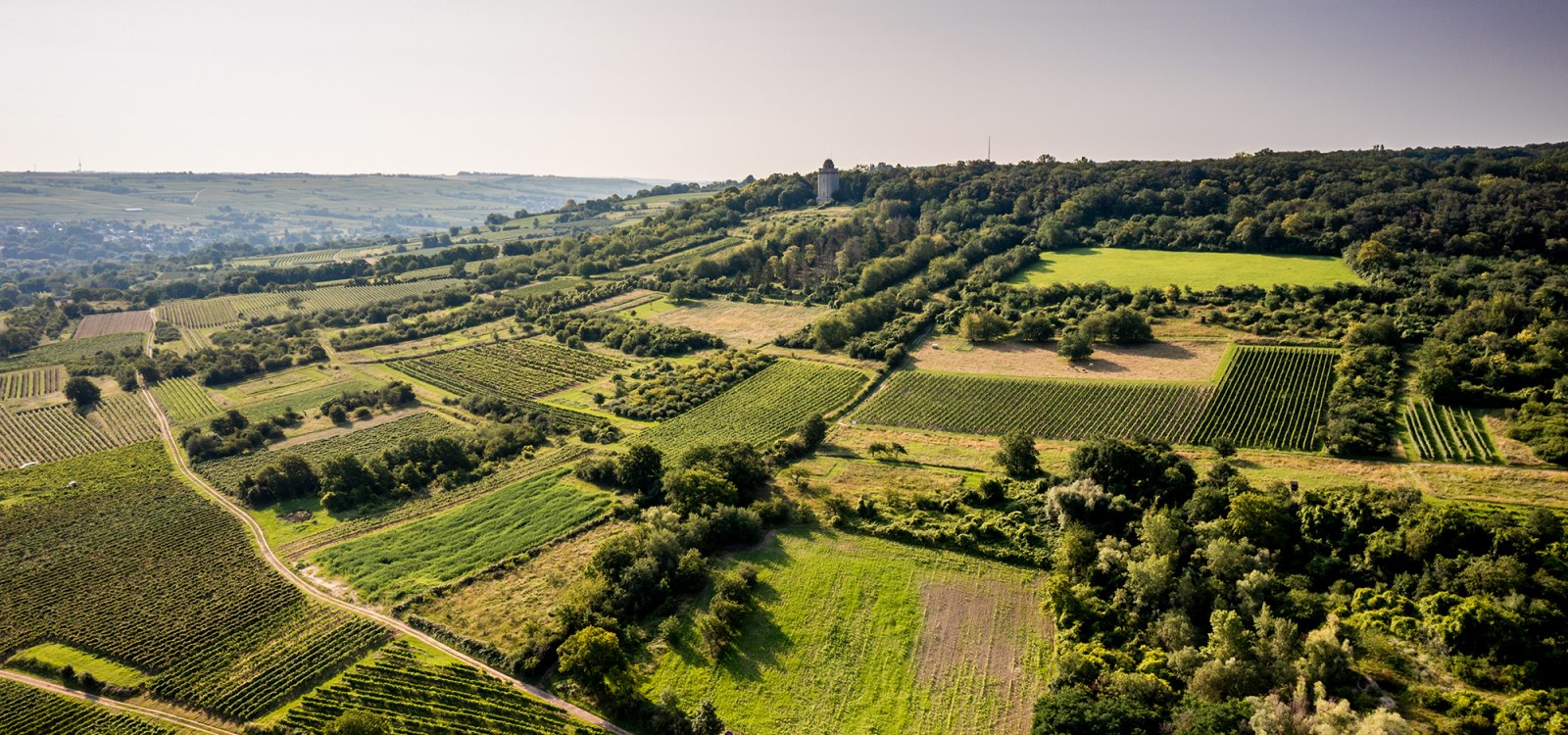 Gau-Algesheimer Steinert Gau-Algesheimer Steinert