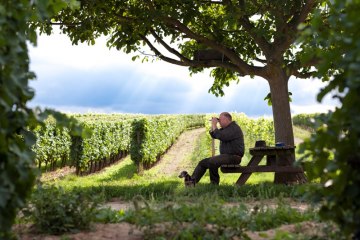Weingut Fred Emrich_Weinberg, © Weingut Fred Emrich Weingut Fred Emrich_Weinberg, © Weingut Fred Emrich