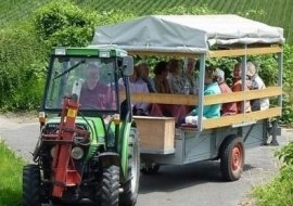 Weinbergsrundfahrt, © Weingut am Honigberg Weinbergsrundfahrt, © Weingut am Honigberg