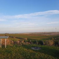 Junghennblick Ausblick Uelversheim © TSC Rhein-Selz Junghennblick Ausblick Uelversheim © TSC Rhein-Selz